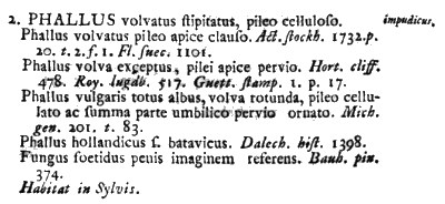 Protologue of Phallus impudicus