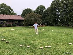 mushroom fairy ring