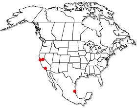 Range of Morchella rufobrunnea