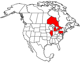 Range of Taxon 12