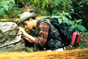 Carlos Rojas Alvarado