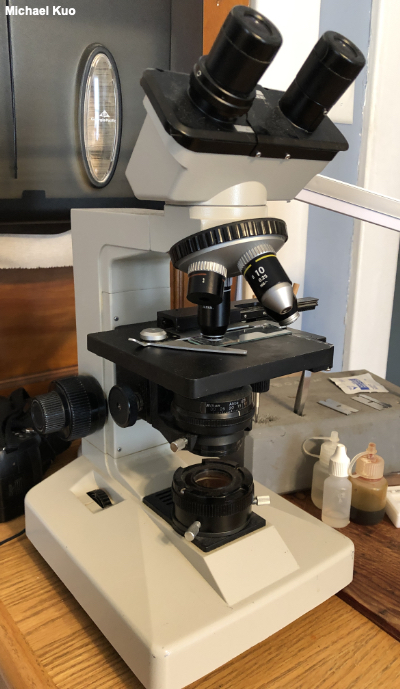 30X Handheld Microscope: Detailed Observations for Mushroom Cultivation