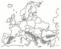 Range of Pinus nigra