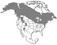 Range of Populus tremuloides